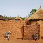 レス40番の画像7