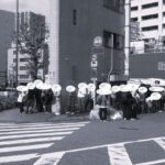 レス6番の画像3