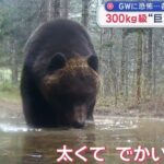 レス1番の画像3