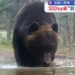 レス1番の画像5