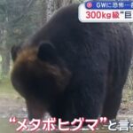 レス1番の画像4
