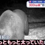 レス1番の画像7