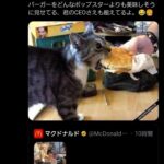 レス1番の画像5