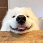 レス10番の画像1