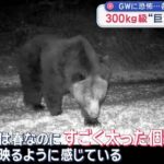 レス1番の画像6